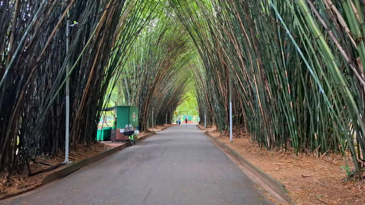 Próximo ao Parque Ibirapuera