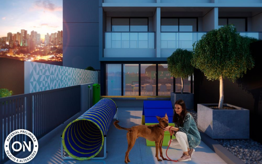 VN APIACÁS – PERDIZES