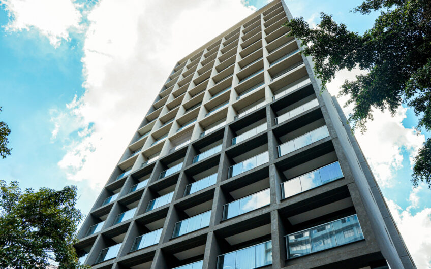 VN APIACÁS – PERDIZES